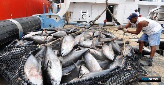 ЕС получил новые квоты тунца в водах Сейшел