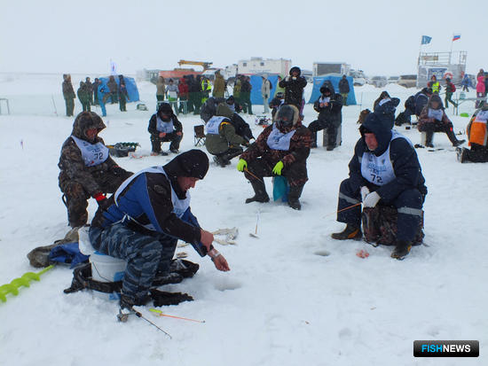 Советов по «Сахалинскому льду» спрашивают у народа