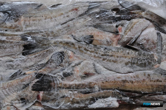 ЕС утвердил новый список рыбных поставщиков из России