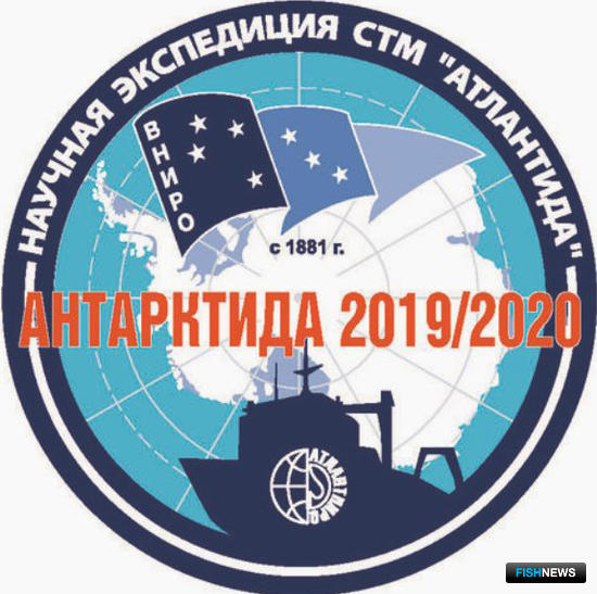 Российские ученые разведают запасы криля в Антарктике Российские ученые разведают запасы криля в Антарктике