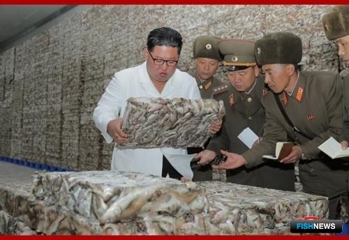 Северная Корея похвасталась рыбными успехами