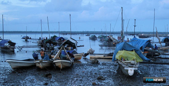 В рыбное хозяйство Папуа —  Новой Гвинеи придут китайские инвестиции