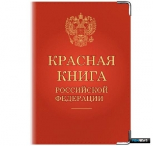 На обсуждение будущей Красной книги РФ отвели две недели