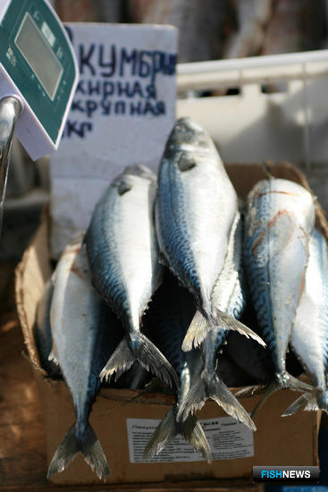 Япония поделилась итогами «рыбной» сессии
