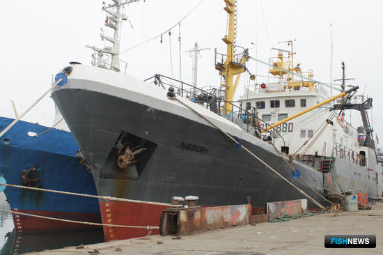 Рыбакам южных морей прописали объемы «неодуемых»