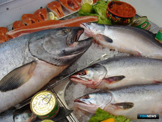 «Апгрейд рыбной отрасли» обсудят на питерском форуме