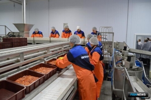 Минпромторг примет порядок для прозрачности программы инвестквот Минпромторг примет порядок для прозрачности программы инвестквот