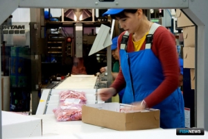 Экспорт продукции АПК поддержат субсидиями Экспорт продукции АПК поддержат субсидиями