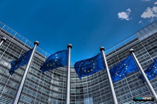 Экологи обвиняют ЕС в переловах и невыполнении обещаний