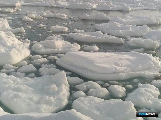 Магаданских рыбаков не пускал домой треснувший лед