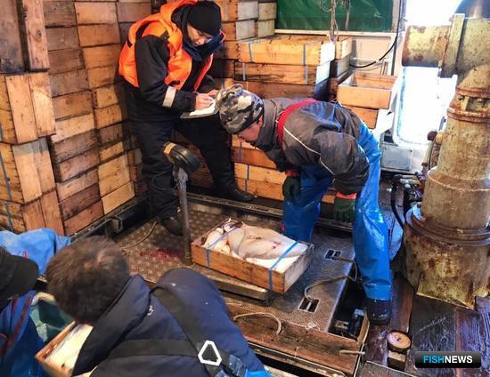 У пограничников вновь возникли вопросы к японским рыбакам