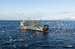 Рыбакам рассказали, как обозначать в ССД отпущенный улов