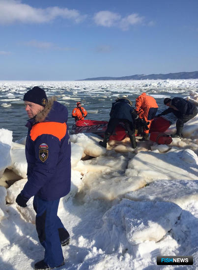 Рыболовы Сахалина устроили массовый заплыв на льдине