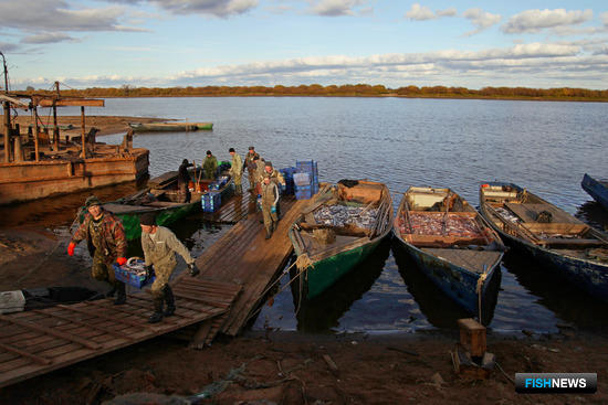 Рыбаки Новгородской области подвели итоги