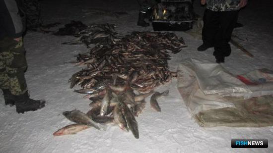 Браконьерский промысел на Белом озере закрыла рыбоохрана