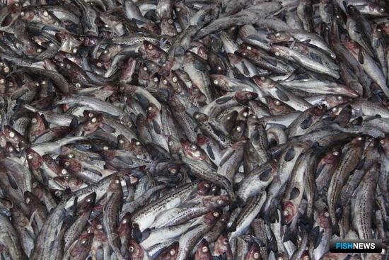 Китай смягчит «въездной режим» для американской рыбы
