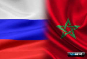 Россия и Марокко обновят соглашение о морском рыболовстве Россия и Марокко обновят соглашение о морском рыболовстве