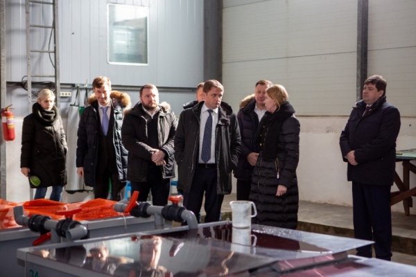 
			Глава Росрыболовства осмотрел портовое хозяйство г. Невельска и посетил Сокольниковский лососевый рыбоводный завод		