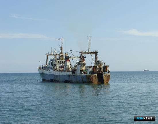 Рыбакам могут ввести новые ограничения по флоту