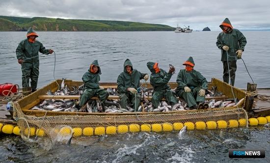 Для Дальнего Востока продолжают готовить изменения правил рыболовства