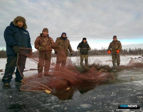 Правила рыболовства для Восточной Сибири актуализируют