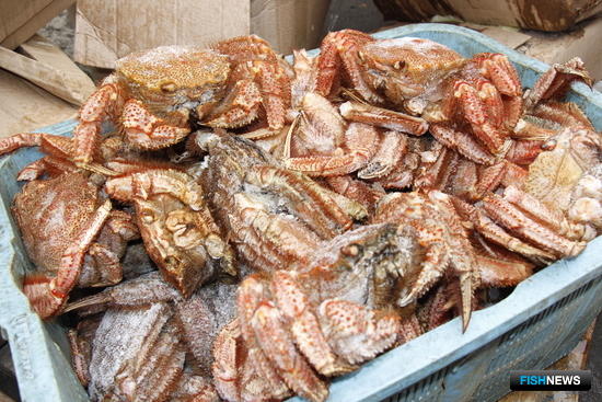 Браконьерские морепродукты не пустили на черный рынок
