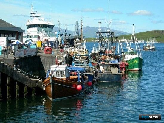 Рыбозаводам Шотландии помогут пережить пандемию
