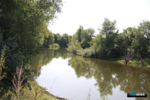 «Большая чистка» на Нижней Волге охватит новые водоемы