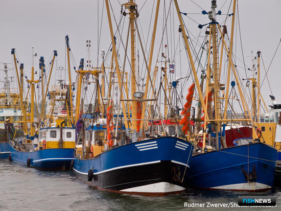 Рыбному хозяйству ЕС приготовили «лекарства» от пандемии