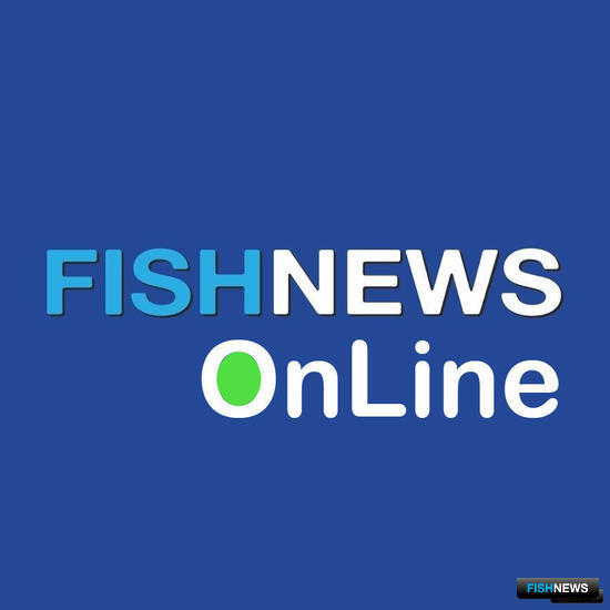 Рыбаки рассчитывают на оперативное регулирование по лососю