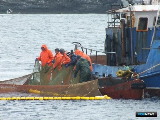 Рыбаки Сахалинской области могут заявиться на лосось
