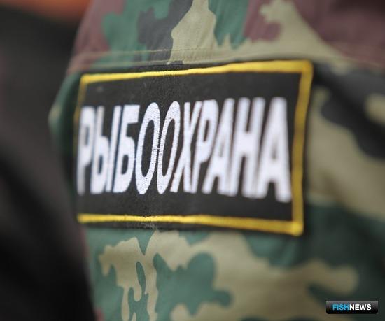 Плановые проверки готовятся исключить из арсенала рыбоохраны Плановые проверки готовятся исключить из арсенала рыбоохраны