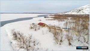 Лосося реки Камчатка встречают ученые Лосося реки Камчатка встречают ученые