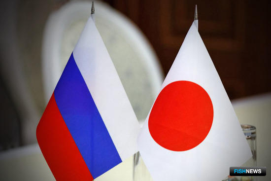 Япония получила лимиты российского лосося