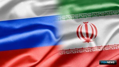 Российский рынок манит морепродукты Ирана