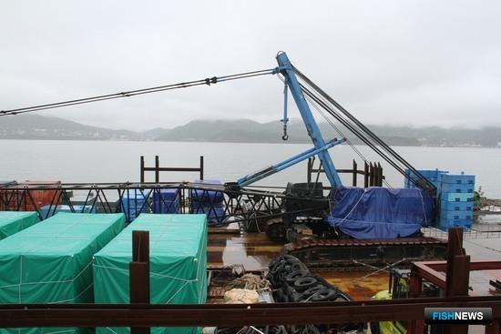 Корея собирается избавить чукотские воды от аварийного судна