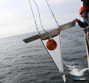 Арктические моря пока свободны от микропластика Арктические моря пока свободны от микропластика