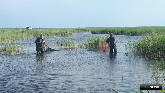 Рыбные ресурсы озер Западной Сибири оценивает наука
