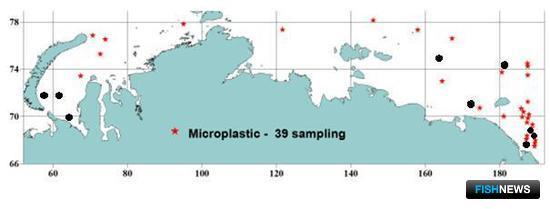 Арктические моря пока свободны от микропластика