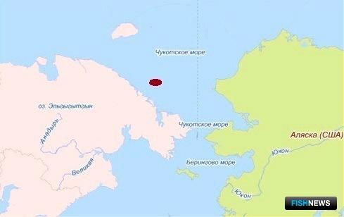 Специалисты изучат промысловые перспективы Чукотского моря