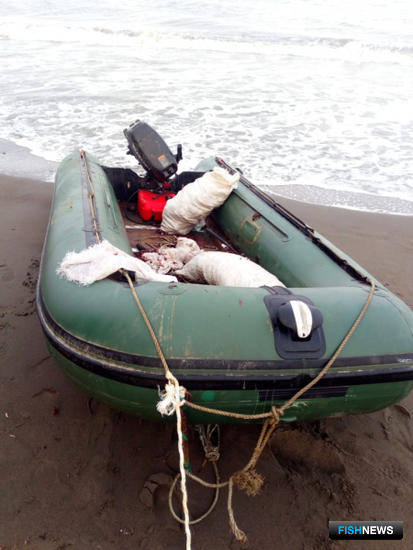 Крабовый лов в заливе Терпения привел к уголовному делу