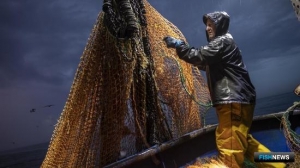 Британия продолжает отстаивать свои права на рыбу