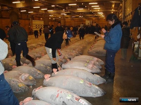 Японский рынок тунца серьезно пострадал от коронавируса