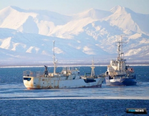 Государство определило пути избавления от браконьерского флота