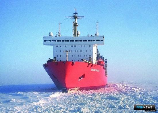 Правительство обновило правила прохода по Северному морскому пути