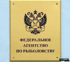 Согласование работ по предотвращению ЧС прописали в правилах