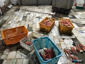 Браконьерское производство остановили пограничники Браконьерское производство остановили пограничники