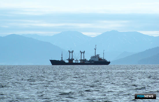 Семинар о современном топливе для морских дизелей пройдет на Камчатке