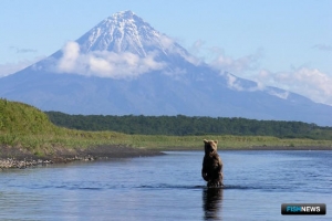 Как изменения климата скажутся на промысле на Камчатке – прогноз WWF Как изменения климата скажутся на промысле на Камчатке – прогноз WWF