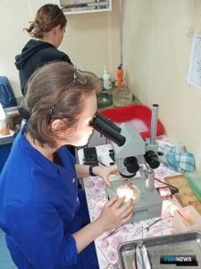 Для научного рыболовства обновили документы Для научного рыболовства обновили документы